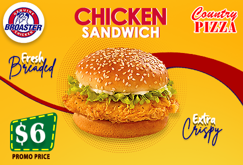 Chicken Sandwich Only